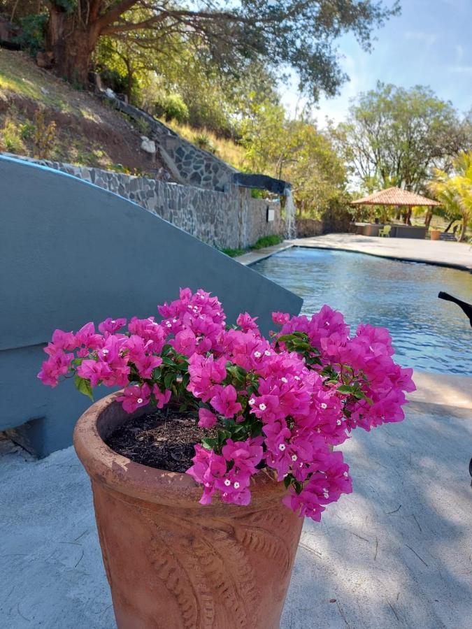 Vida Aventura Ranch Ξενοδοχείο Tanques Εξωτερικό φωτογραφία