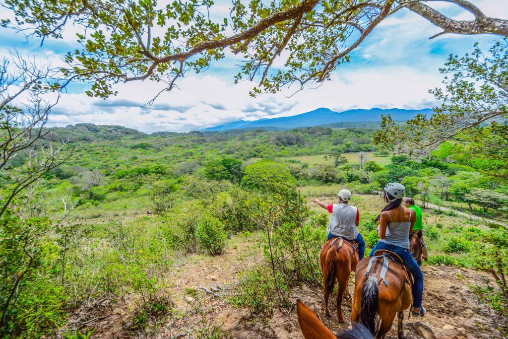 Vida Aventura Ranch Ξενοδοχείο Tanques Εξωτερικό φωτογραφία