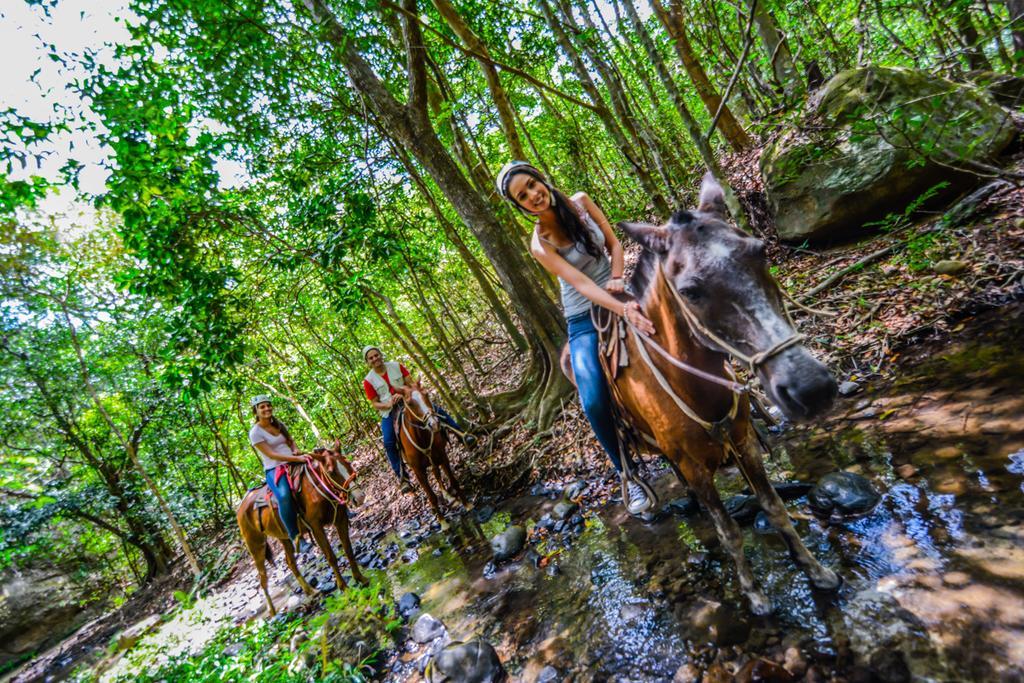Vida Aventura Ranch Ξενοδοχείο Tanques Εξωτερικό φωτογραφία