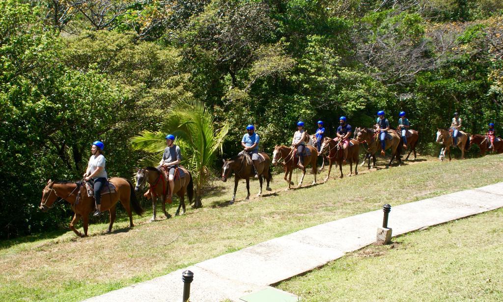 Vida Aventura Ranch Ξενοδοχείο Tanques Εξωτερικό φωτογραφία