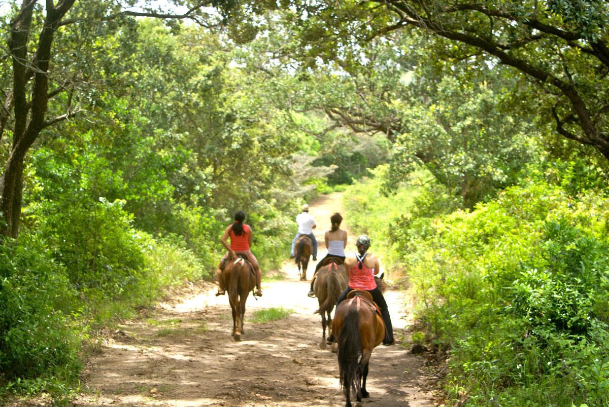 Vida Aventura Ranch Ξενοδοχείο Tanques Εξωτερικό φωτογραφία